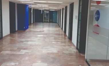 IB-CM0789 - Oficina en Renta en Insurgentes Sur, 615 m2.