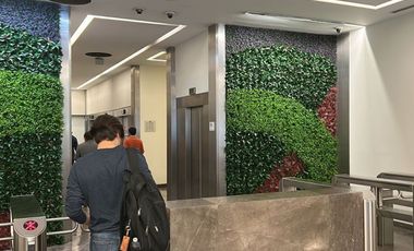 IB-CM0819 - Oficina en Renta en Álvaro Obregón, 640 m2.