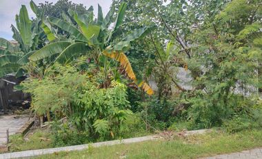 Lahan Tanah Ngantong Dekat Kawasan Industri Kedungpring Lamongan