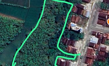 Lahan Tanah Ngantong Dekat Kawasan Industri Kedungpring Lamongan