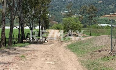 Terreno en Venta Cerca de  Ixtapan de la Sal - (3)