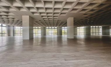 IB-CM0898 - Oficina en Renta en Miguel Hidalgo, 992 m2.