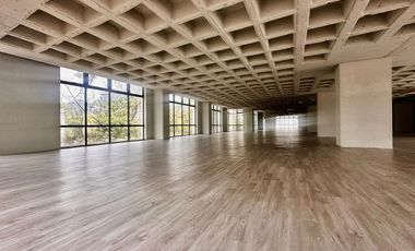 IB-CM0898 - Oficina en Renta en Miguel Hidalgo, 992 m2.