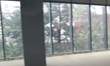 IB-CM0905 - Oficina en Renta en Benito Juárez, 433 m2.