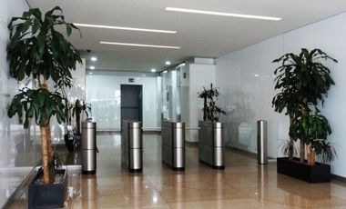 IB-CM0908 - Oficina en Renta en Álvaro Obregón, 310 m2.