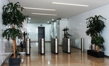 IB-CM0909 - Oficina en Renta en Álvaro Obregón, 116 m2.