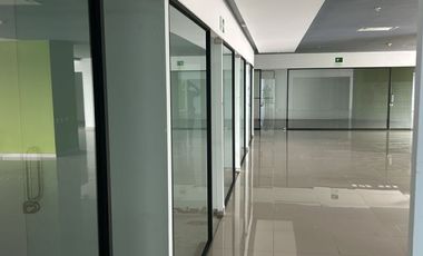 IB-CM0948 - Oficina en Renta en Álvaro Obregón, 530 m2.