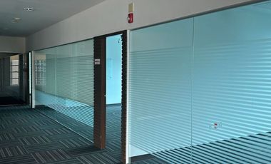 IB-CM0948 - Oficina en Renta en Álvaro Obregón, 530 m2.
