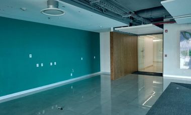 IB-CM0950 - Oficina Corporativa en Renta en San Ángel, 509 m2.