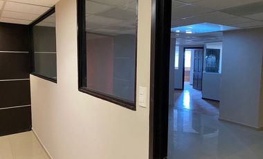 IB-CM1003 - Oficina en Renta en Anzures, 174 m2.