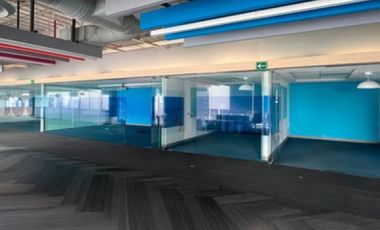 IB-CM1032 - Oficina en Renta en Paseo de la Reforma, 231 m2.