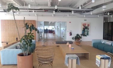 IB-CM1067 - Oficina en Renta en Paseo de la Reforma, 1,533 m2