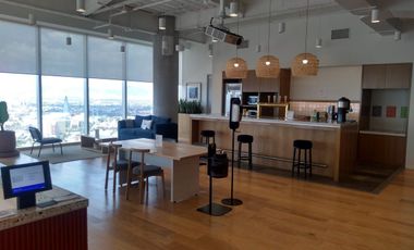 IB-CM1067 - Oficina en Renta en Paseo de la Reforma, 1,533 m2