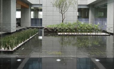 IB-CM1132 - Oficina en Renta en Santa Fe, 1,181 m2