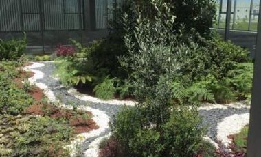 IB-EM2123 - Oficina en Rente en Lerma, 440 m2.