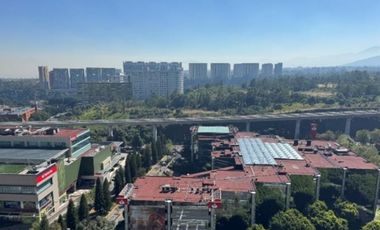 IB-CM1182 - Oficina en Renta en Paseo de la Reforma,  1,030 m2.