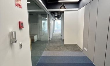 IB-CM1187 - Oficina en Renta en Campos Eliseos, 350 m2.