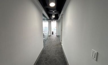 IB-CM1187 - Oficina en Renta en Campos Eliseos, 350 m2.