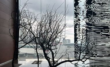 IB-CM1401 - Oficina en Renta en Santa Fe, 1,450 m2.