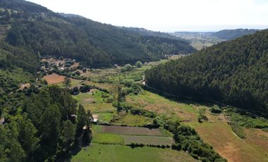 SE VENDE  PARCELA BUCHUPUREO PARQUE LAS NALCAS