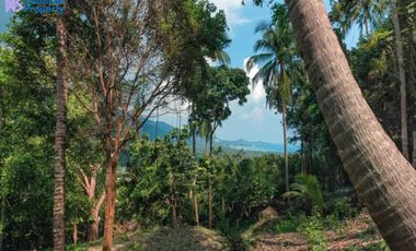 Samui Seaview Villa on Large Land at Santikhiri Estate