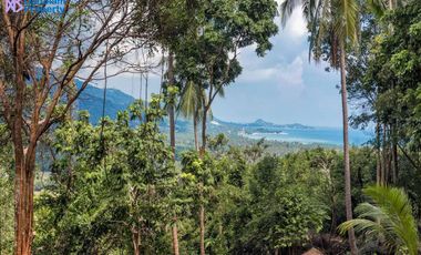 Samui Seaview Villa on Large Land at Santikhiri Estate