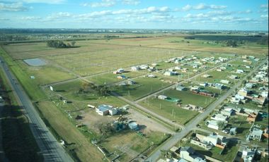 LOTE CAMPO DEL OESTE - ALVEAR