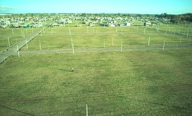LOTE CAMPO DEL OESTE - ALVEAR