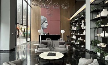 Departamento en Renta Amueblado Distrito Chapultepec, Americana