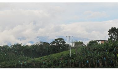 Extraordinaria y productiva finca cafetera en Filandia