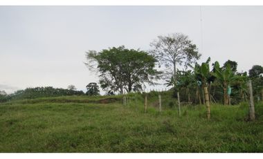 Extraordinaria y productiva finca cafetera en Filandia