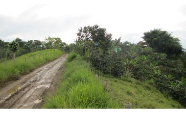 Extraordinaria y productiva finca cafetera en Filandia