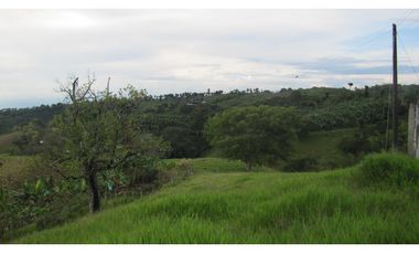 Extraordinaria y productiva finca cafetera en Filandia