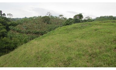 Extraordinaria y productiva finca cafetera en Filandia