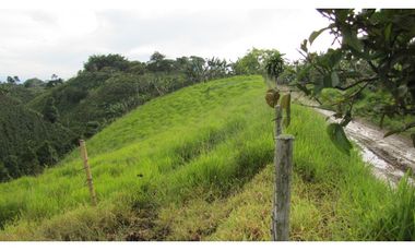 Extraordinaria y productiva finca cafetera en Filandia