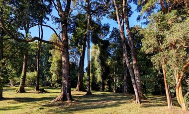 CASA EN CONDOMINIO, CON BOSQUE Y RIO, EN FRUTILLAR ALTO