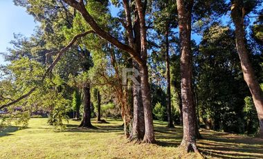 CASA EN CONDOMINIO, CON BOSQUE Y RIO, EN FRUTILLAR ALTO