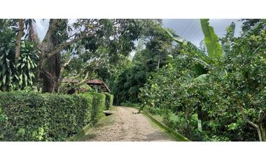 SIEB 321 CASA DE CAMPO EN LA MESA