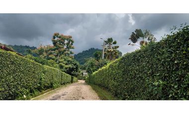 SIEB 321 CASA DE CAMPO EN LA MESA