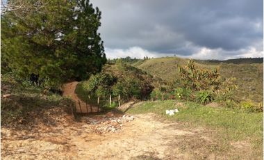 Venta de finca Amalfi vereda Risaralda