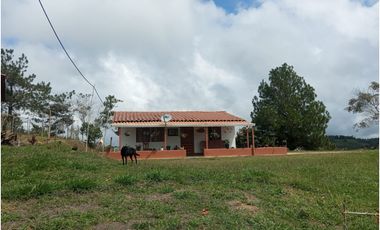 Venta de finca Amalfi vereda Risaralda