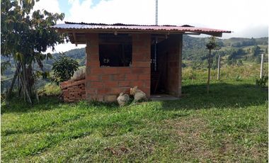 Venta de finca Amalfi vereda Risaralda