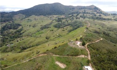 Venta de finca Amalfi vereda Risaralda