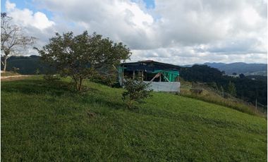 Venta de finca Amalfi vereda Risaralda