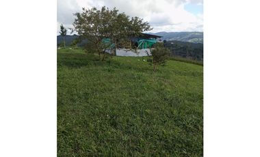 Venta de finca Amalfi vereda Risaralda