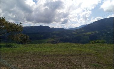 Venta de finca Amalfi vereda Risaralda