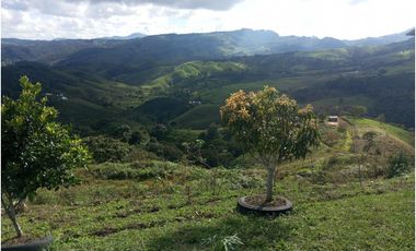 Venta de finca Amalfi vereda Risaralda