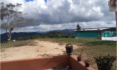 Venta de finca Amalfi vereda Risaralda