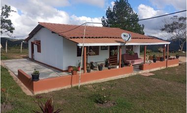 Venta de finca Amalfi vereda Risaralda