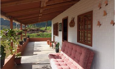 Venta de finca Amalfi vereda Risaralda